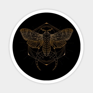 Satin Moth | Crescent Moon Magnet